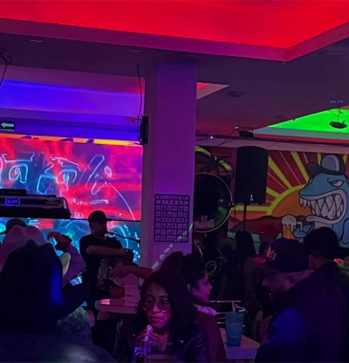 Botellas y barra de Makali Acoxpa